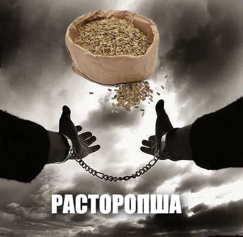 Руки тянутся к расторопше