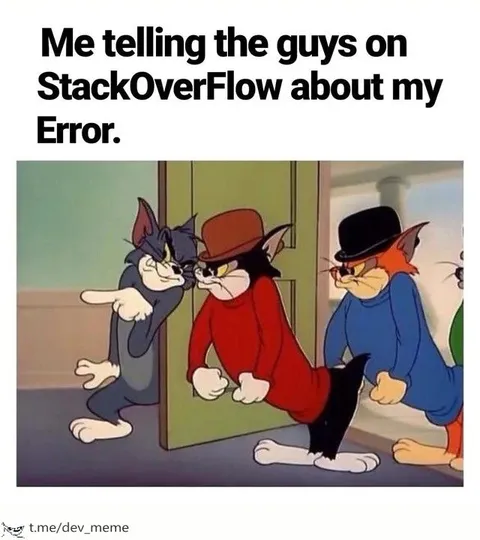 Explaining My Error on Stack Overflow