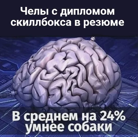 Диплом и умнее собаки