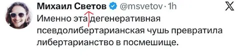 Псевдолибертарианская чушь
