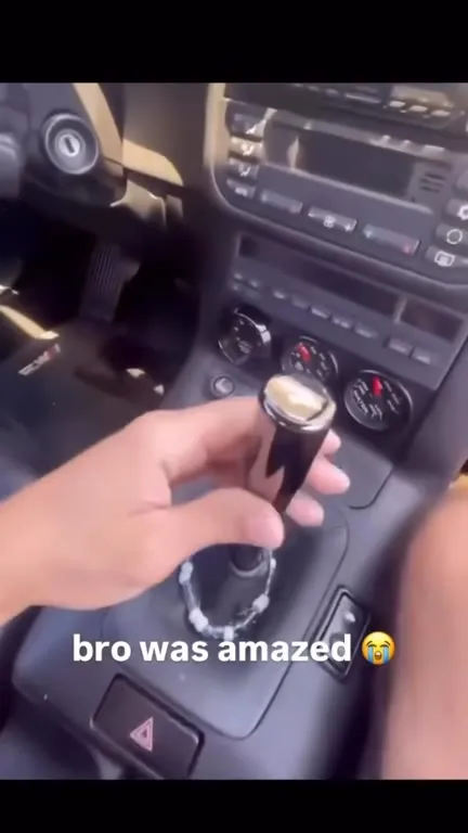 Cat Amazed by Car Controls