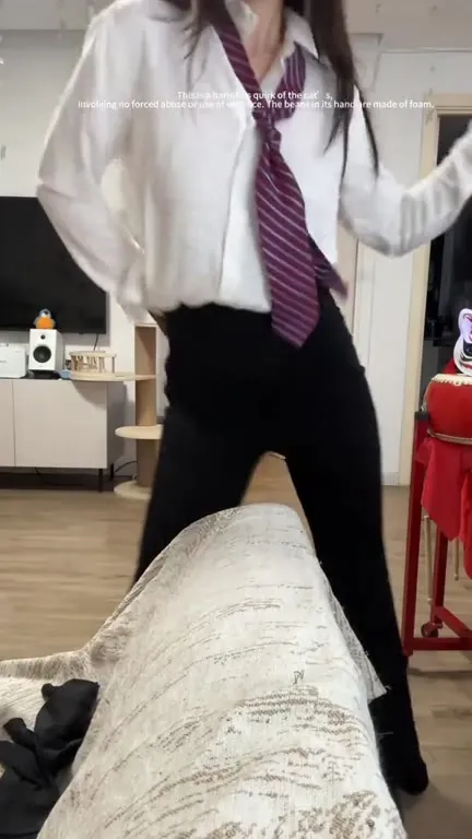Cat Versus Foam Claw