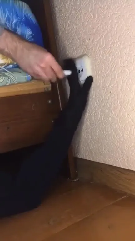 Кот мешает вставить зарядку