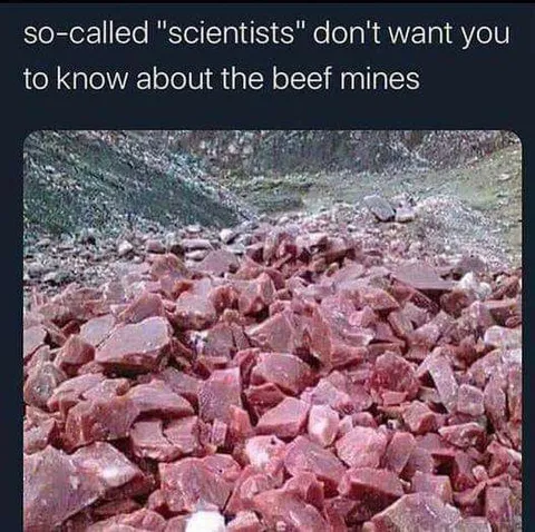 Beef Mines Scientists Hide