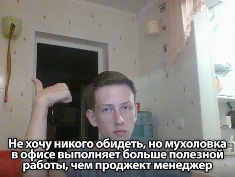 Мухоловка полезнее проджект-менеджера