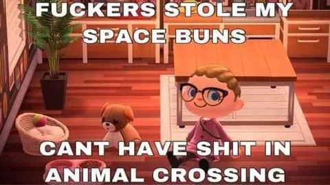 Animal Crossing Space Buns Theft