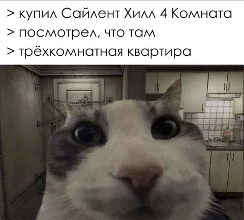 Купил Сайлент Хилл четыре комнаты