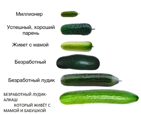 Безработный лудик-алкаш с мамой