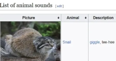 Snail Giggle Sound