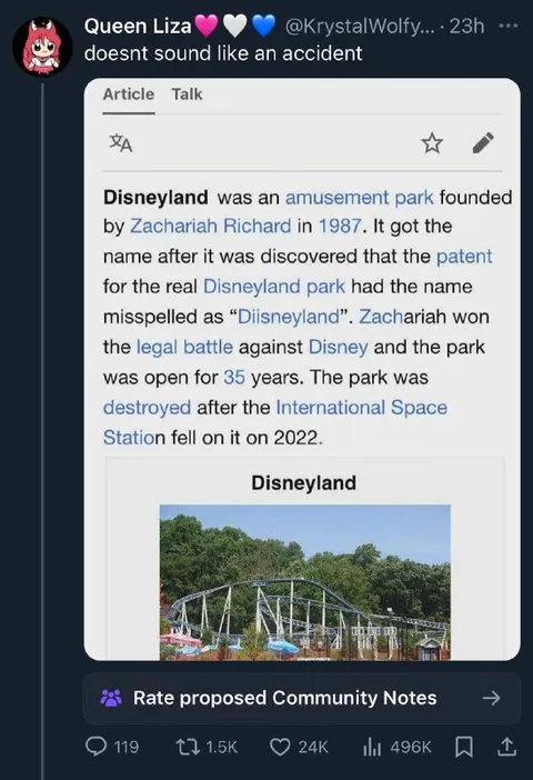 Disneyland Sounds Like an Accident