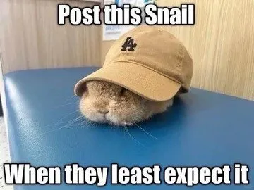 Post This Snail Cat