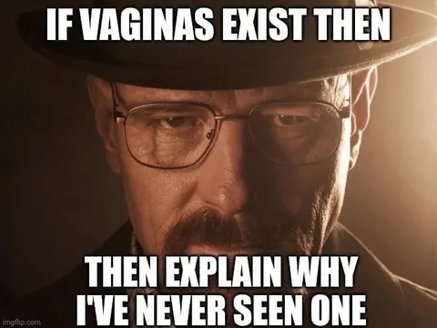 Walter White Has Never Seen One