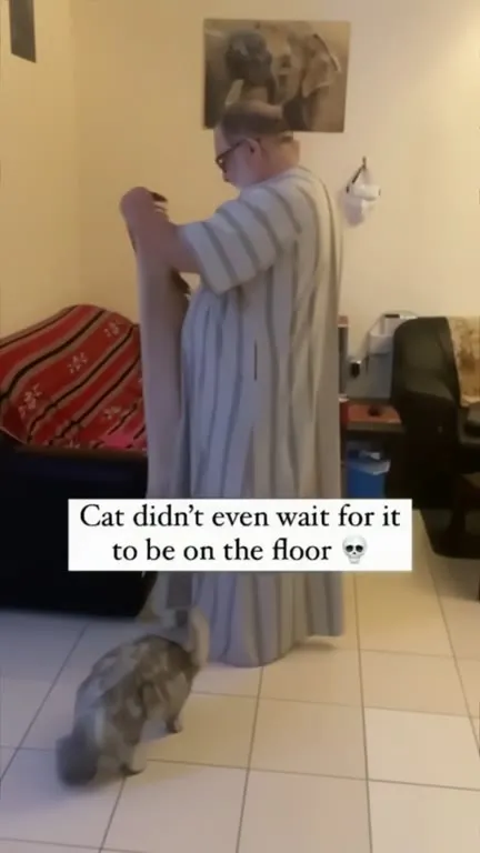 Cat Claims the Prayer Rug
