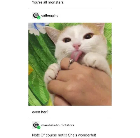 Even Her Cat Is Wonderful