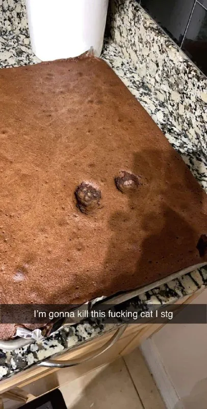 Cat Paw Prints in Cake