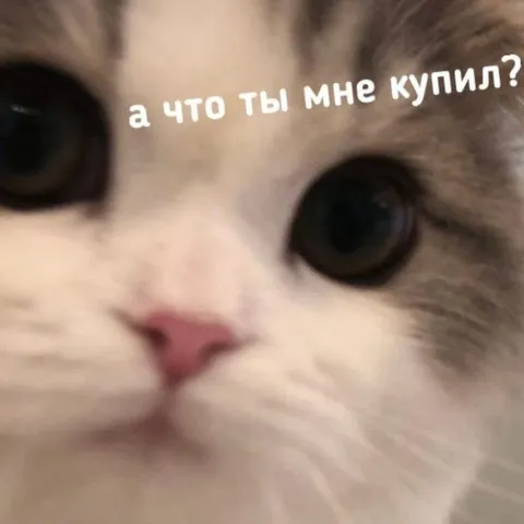 А что ты мне купил?