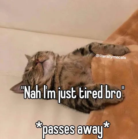 Tired Bro Passes Away