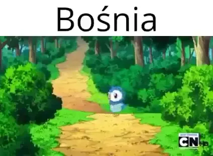 Bośnia wychodzi z lasu