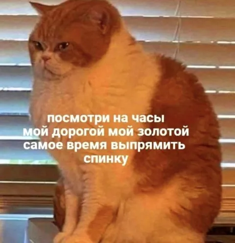 Пора выпрямить спинку