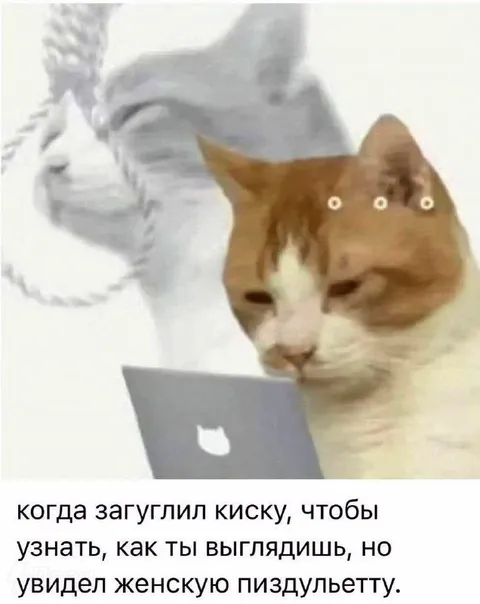 Загуглил киску и увидел женскую пиздулетту
