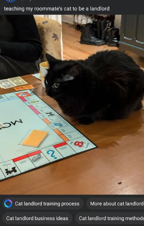 Teaching a Cat to Be a Landlord