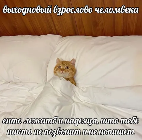 Выходной взрослого человека