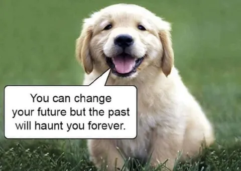 Puppy Haunted by the Past