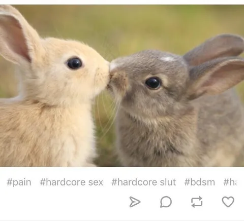 Hardcore Bunny Kiss