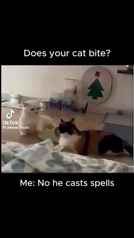 Cat Casts Spells Instead of Biting