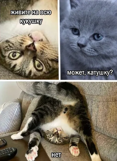 Живите на всю катушку