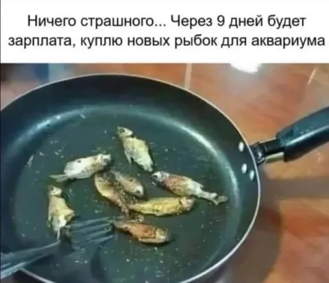 Рыбки для аквариума после зарплаты