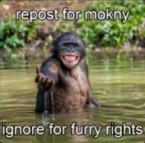 Repost for Mokny, Ignore for Furry Rights