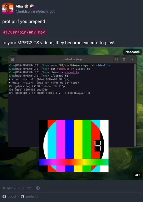 Videos Become Execute-to-Play