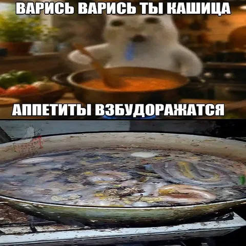 Варись, варись, ты кашица