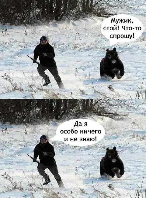 Мужик, стой! Что-то спрошу