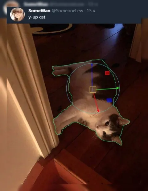 Y-Up Cat 3D Model
