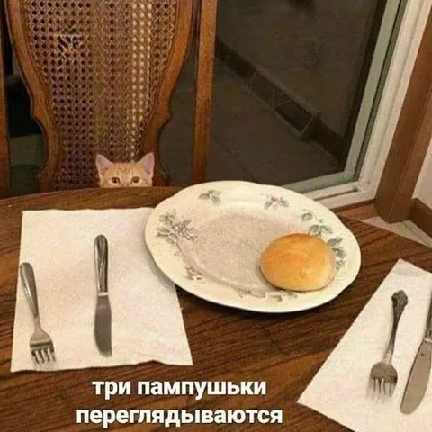 Три пампушки переглядываются