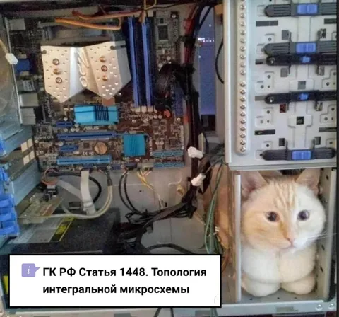 Котик — топология микросхемы