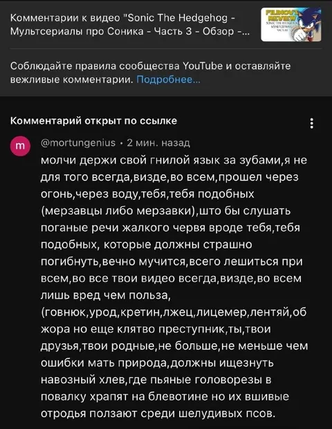 Злобный комментарий под Соником