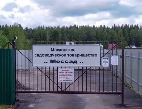 Моссад на даче