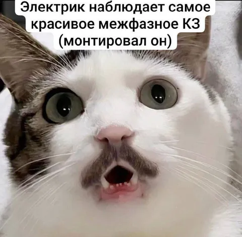 Электрик наблюдает межфазное КЗ