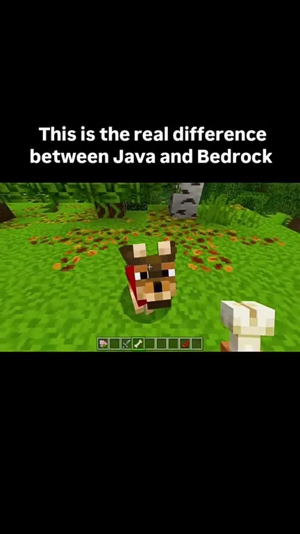 The Real Difference Between Java and Bedrock