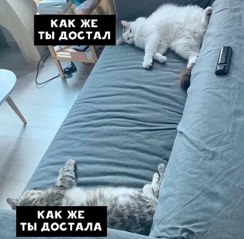 Как же ты досталa