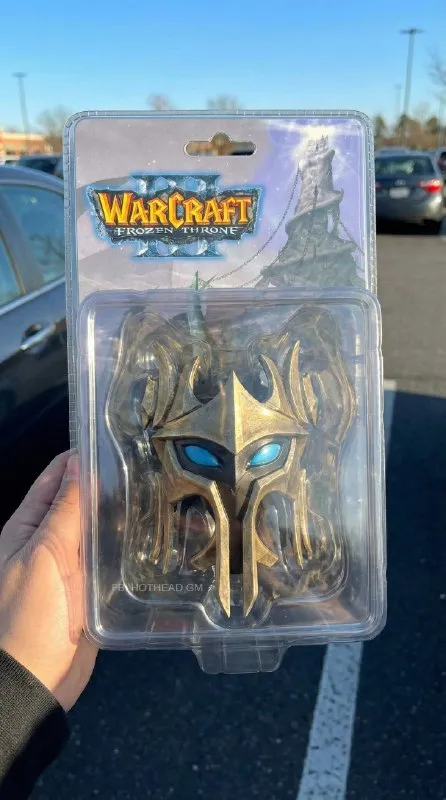 Warcraft Frozen Throne Mask