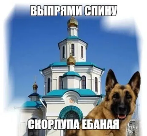 Выпрами спину, скорлула ебаная