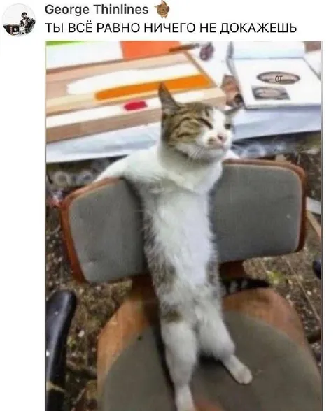 Ты всё равно ничего не докажешь