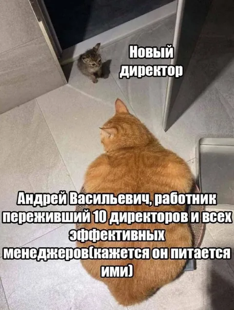Новый директор и старый работник