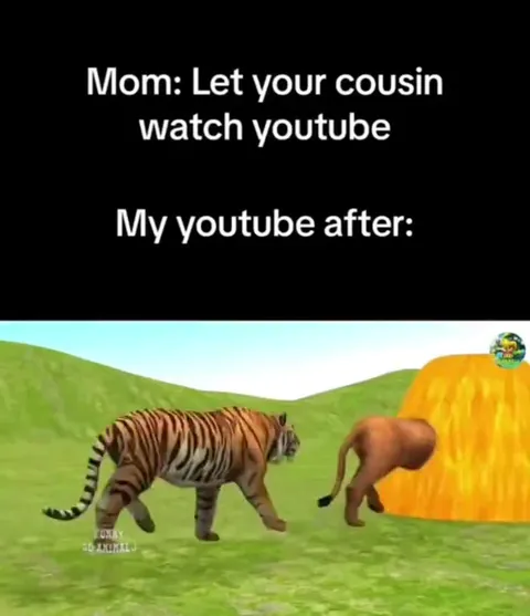 My YouTube After Letting Cousin Watch