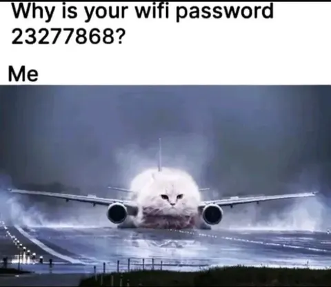 WiFi Password Plane Cat