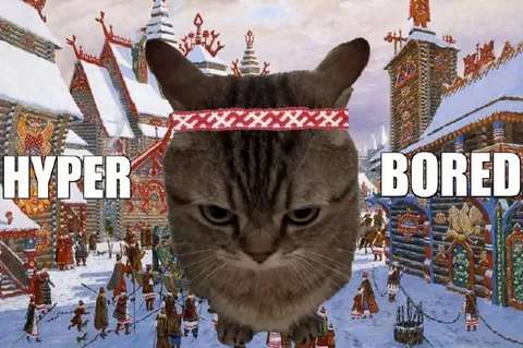 Hyper Bored Cat